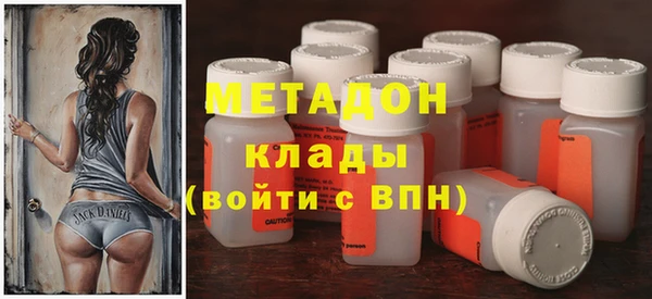 шишки Арсеньев