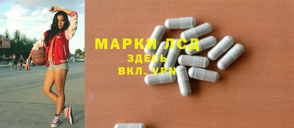 шишки Арсеньев