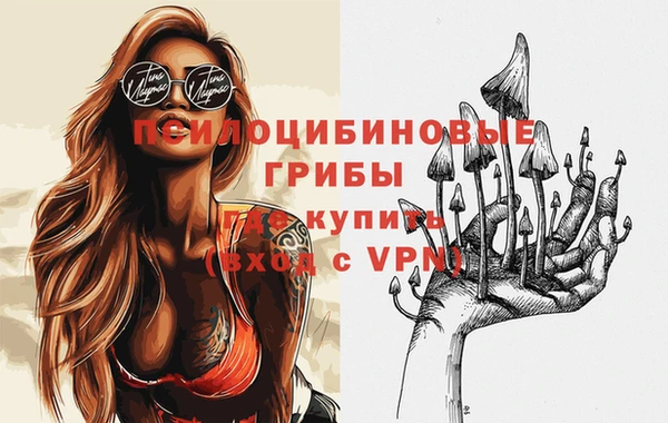 шишки Арсеньев