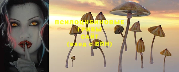 шишки Арсеньев